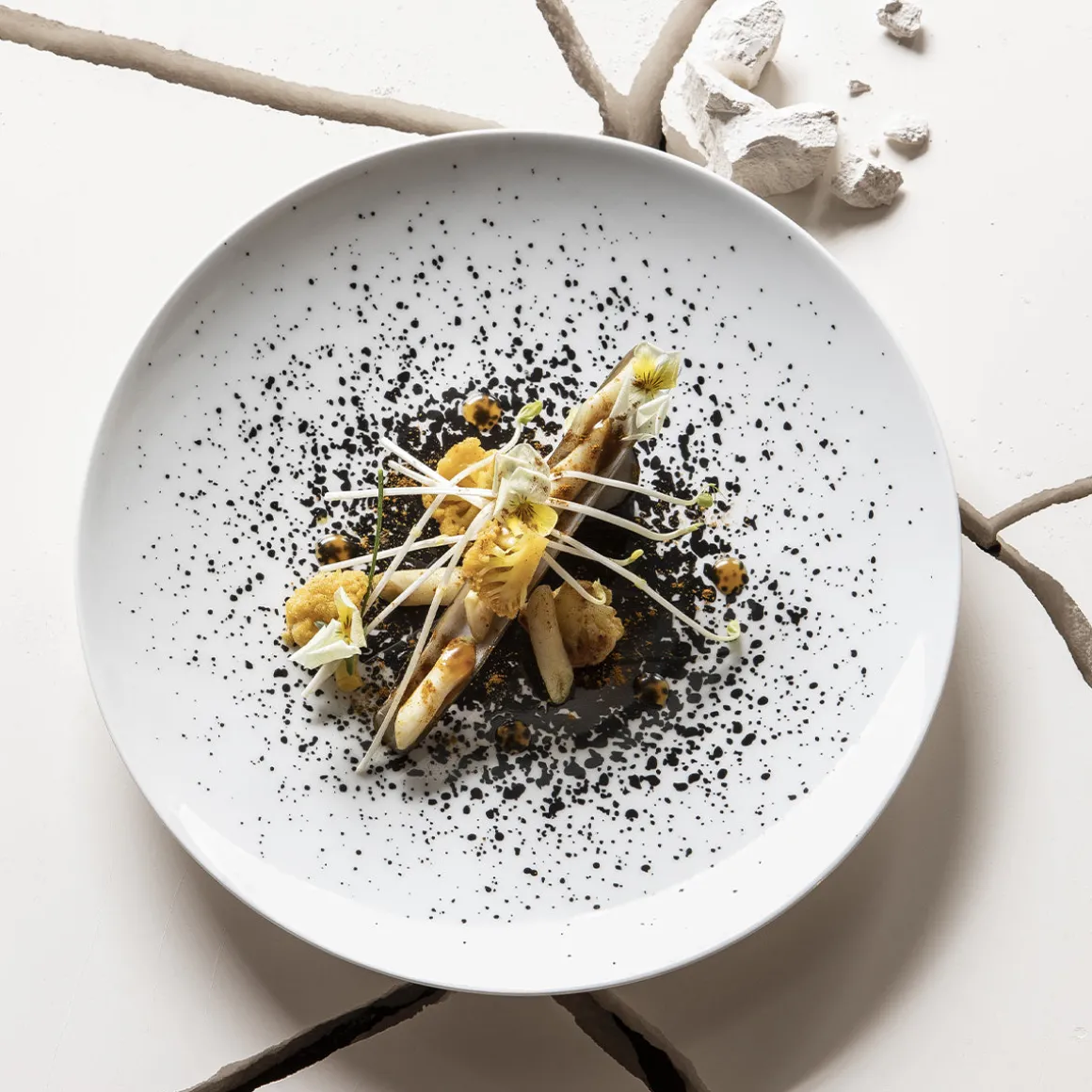 ARTY CREATION BLANC Coffret 6 assiettes à dessert 20 cm