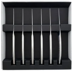 ASTREE CISELE MIROIR Coffret 6 couteaux à steak