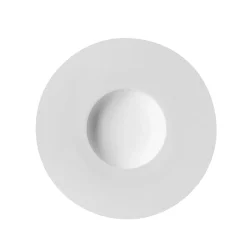 COLLECTION L BLANC Assiette gourmet petit bassin 27.9 cm