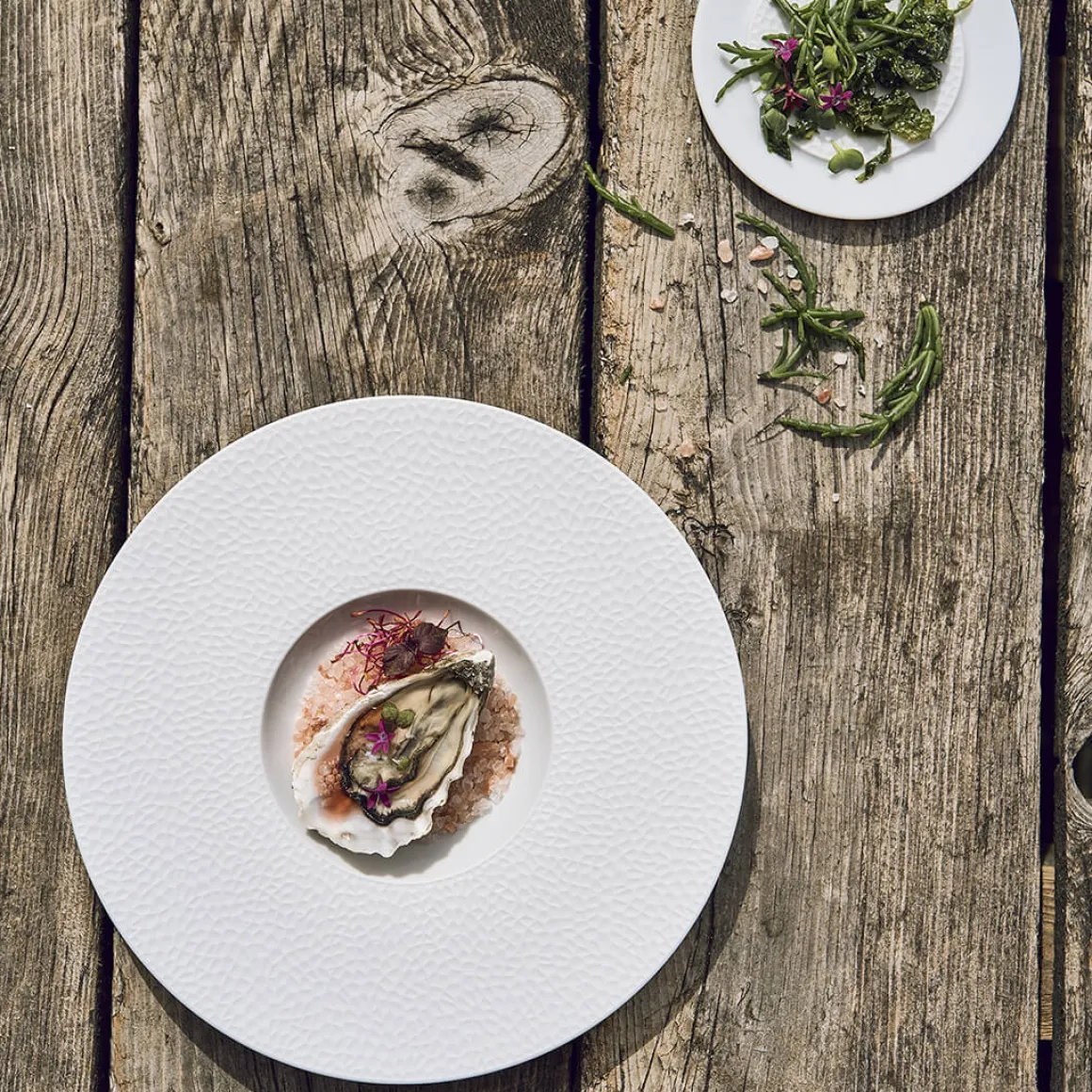 COLLECTION L FRAGMENTS BLANC Assiette gourmet petit bassin 27.9 cm