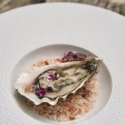 COLLECTION L FRAGMENTS BLANC Assiette gourmet grand bassin 30 cm