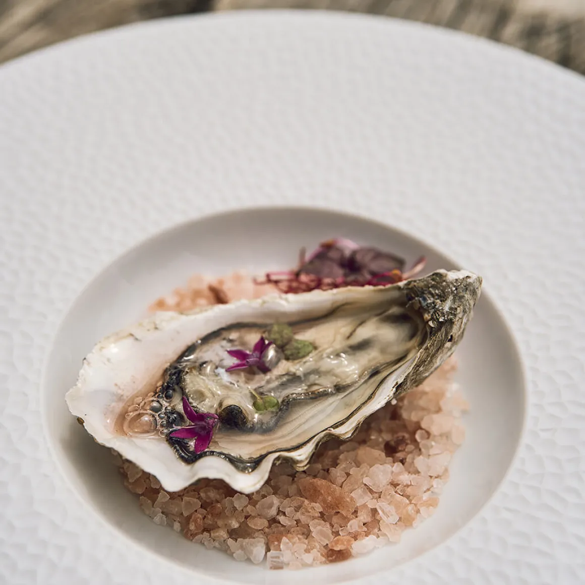 COLLECTION L FRAGMENTS BLANC Assiette gourmet grand bassin 30 cm