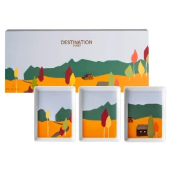 DESTINATION FORET Coffret 3 mini plats 16 x 12 cm