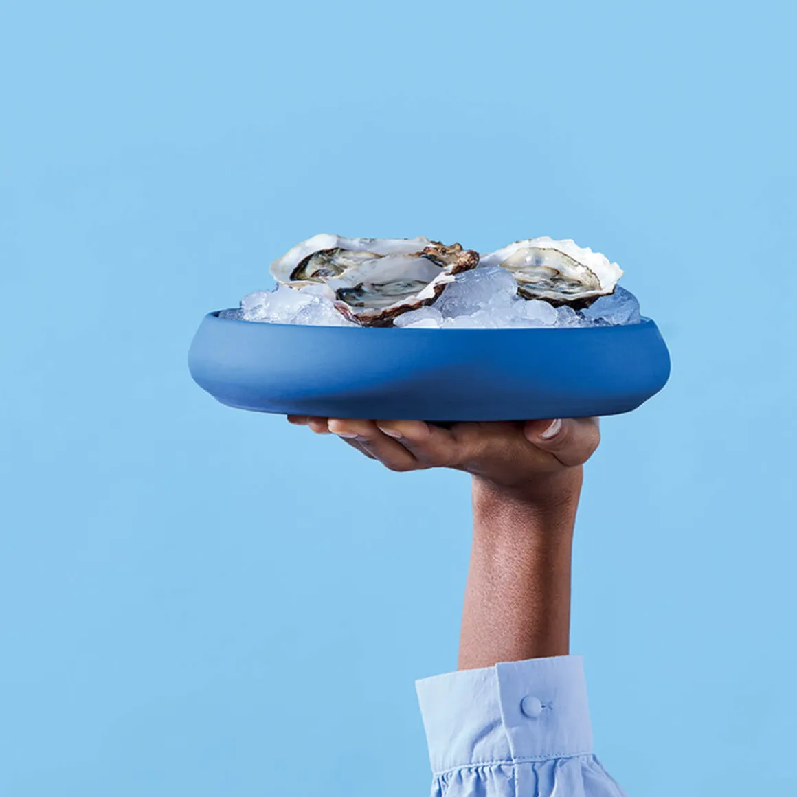 GOURMET BLEU Grande assiette cocotte 22 cm