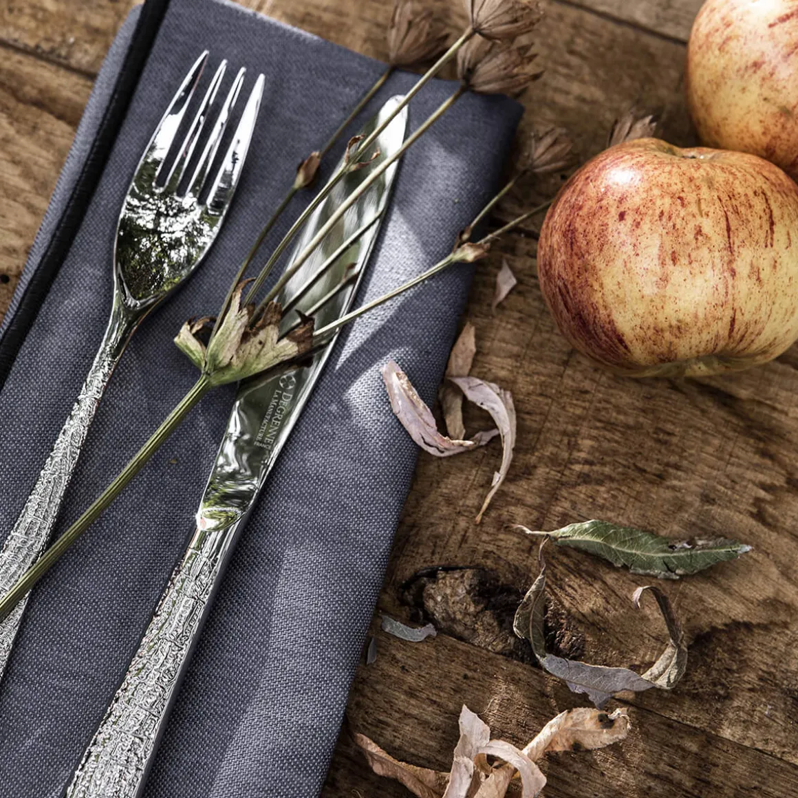 NUANCES COTON & LIN GRIS DEGRENNE Lot de 4 serviettes 50 x 40 cm